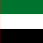 image (7)