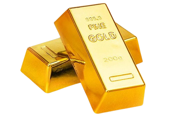 DF_09606image_story-removebg-preview